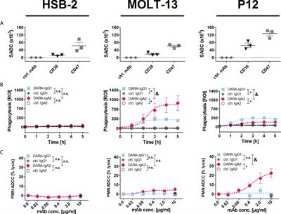 Myeloid checkpoint blockade improves killing of T-acute lymphoblastic leukemia cells by an IgA2 variant of daratumumab